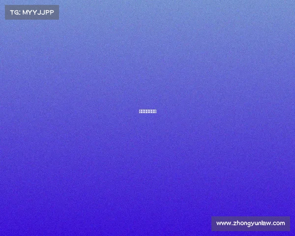 比熊犬电脑壁纸